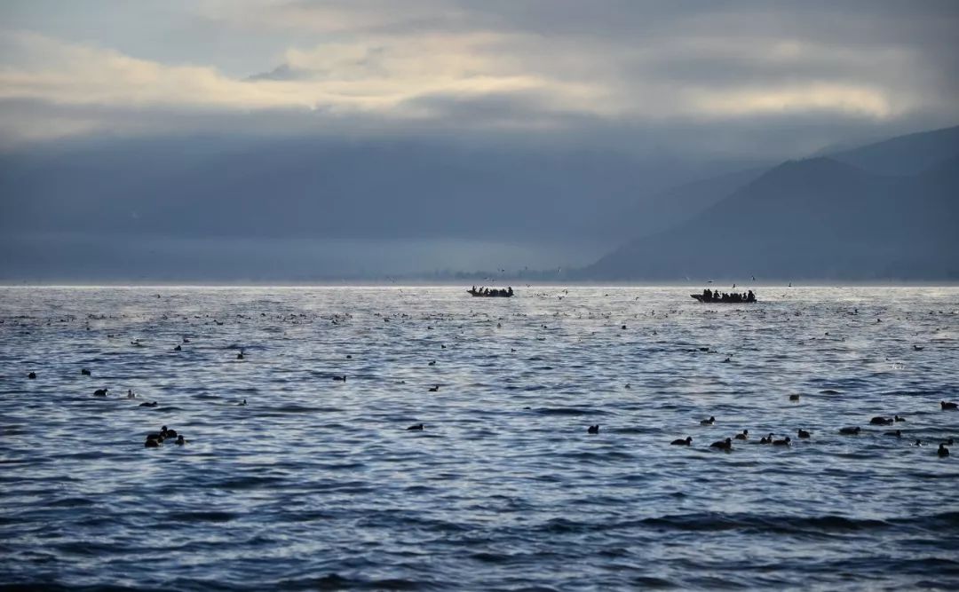 西安-- 甘肃-- 青海-- 西藏-- 云南环游之旅 | 诗和远方的田野-146
