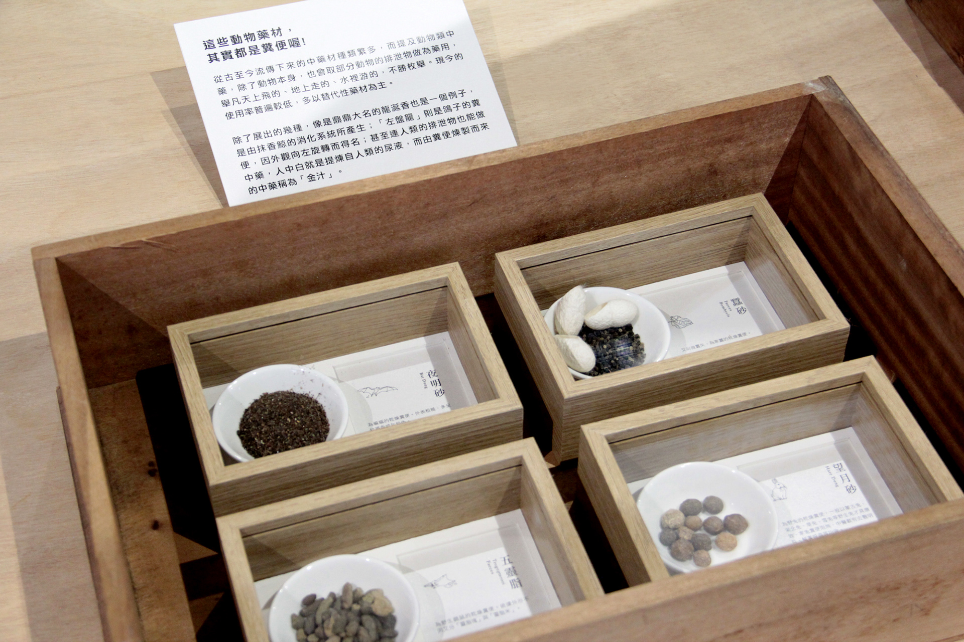 深職人臺中故事 【立秋解憂漢方】|視覺與展覽設計丨好位子團隊(視覺與展覽設計:蘇品璇)-31