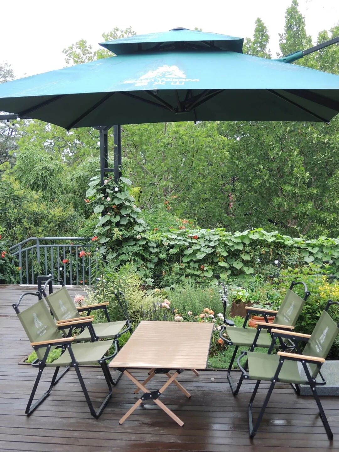 大众网满月回访泉民园艺中心领航店-65