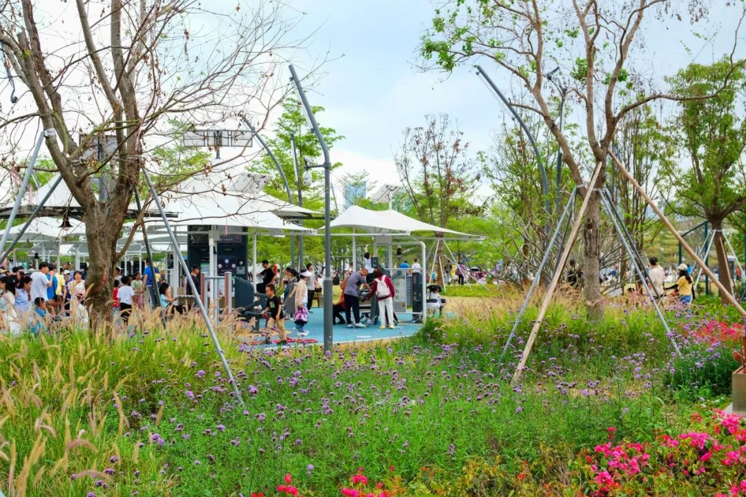 2024粤港澳大湾区花展主会场 | 深圳笔架山体育公园-23