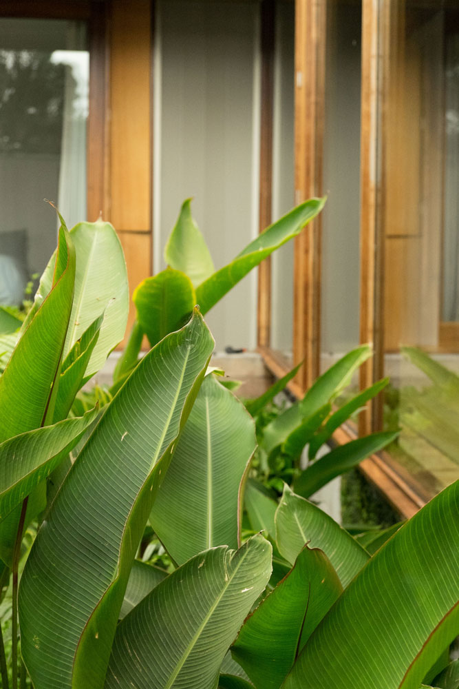 Argyle House 的有机庭院景观-13