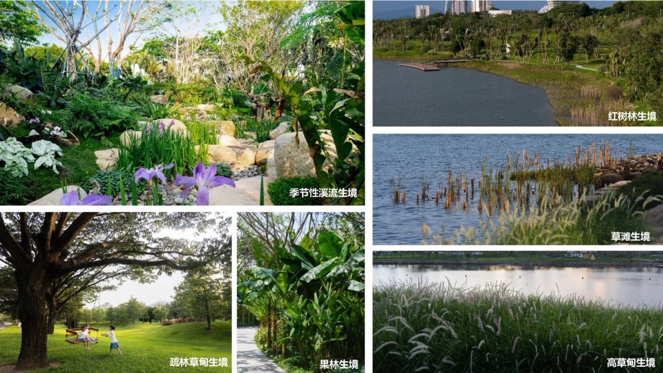 海棠河生态公园二期景观设计丨中国三亚丨LOLA Landscape Architects-71