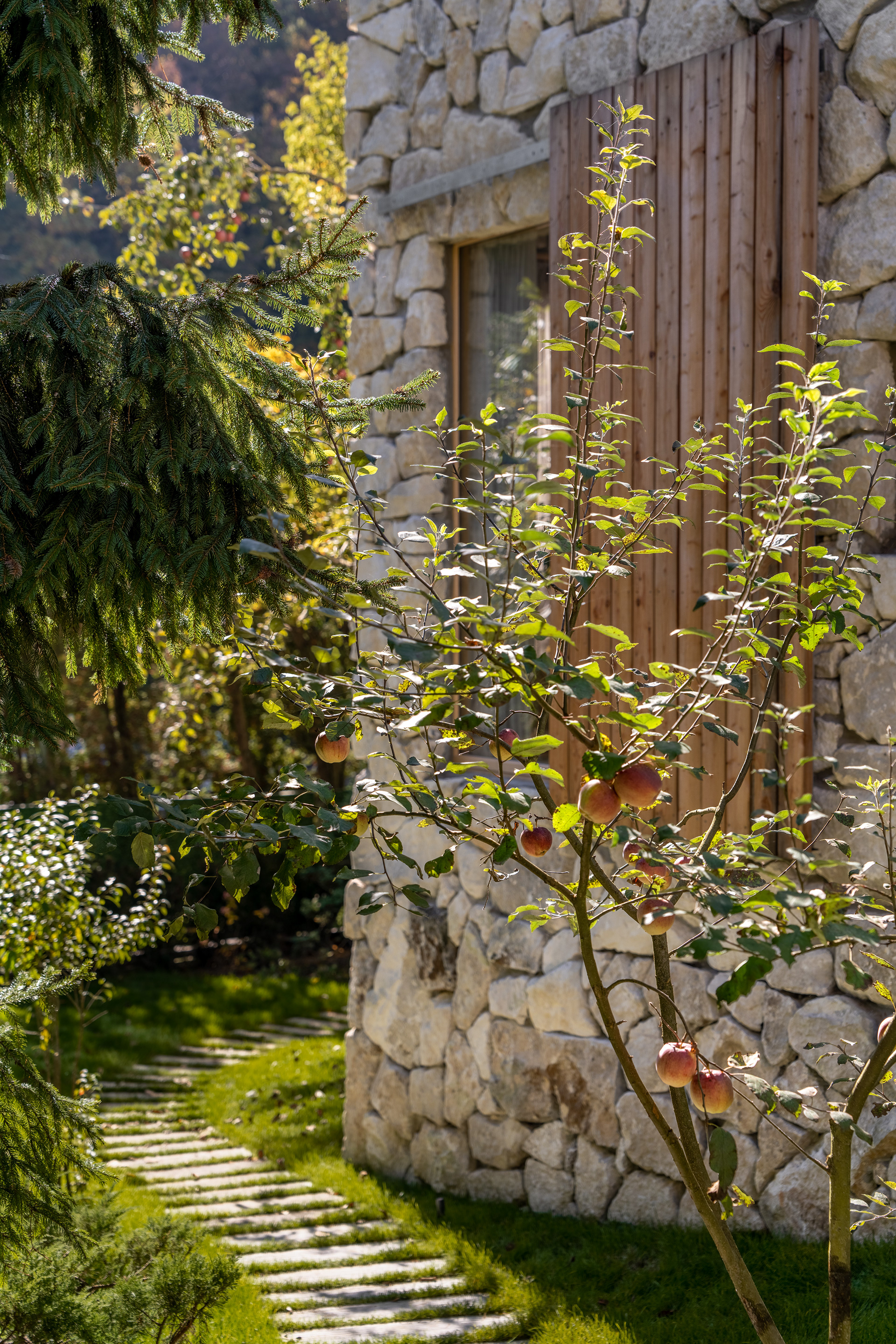 OLSW 之家丨乌克兰利沃夫丨Dmytro Sorokevych 等-18