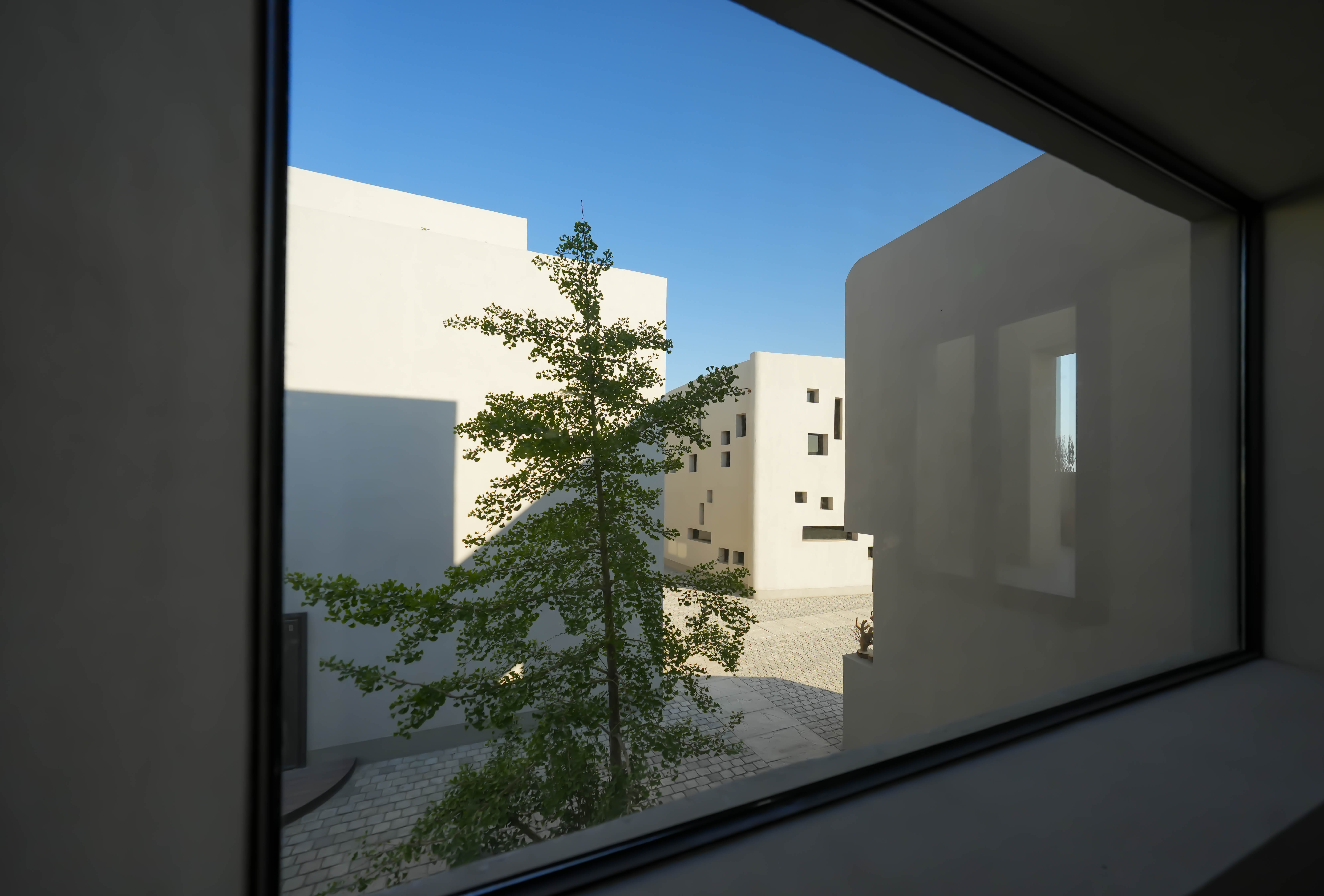 全球首个枸杞特产庄园丨中国银川丨夏科,唐志林-22