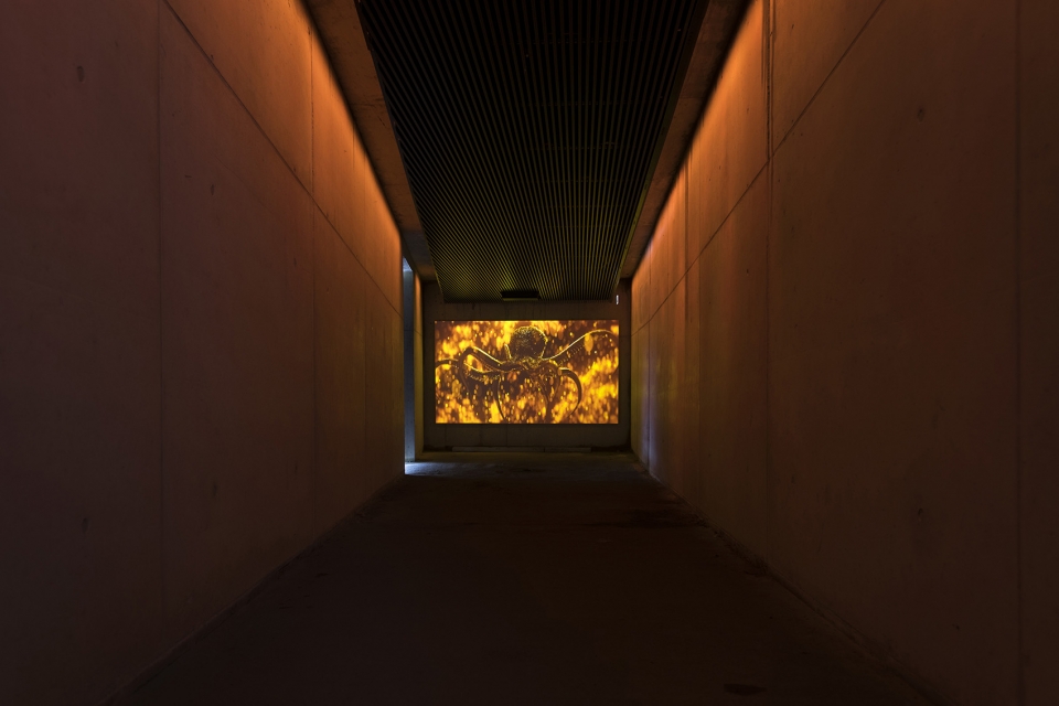 007 博物馆 · 高山之上的未来主义空间-15