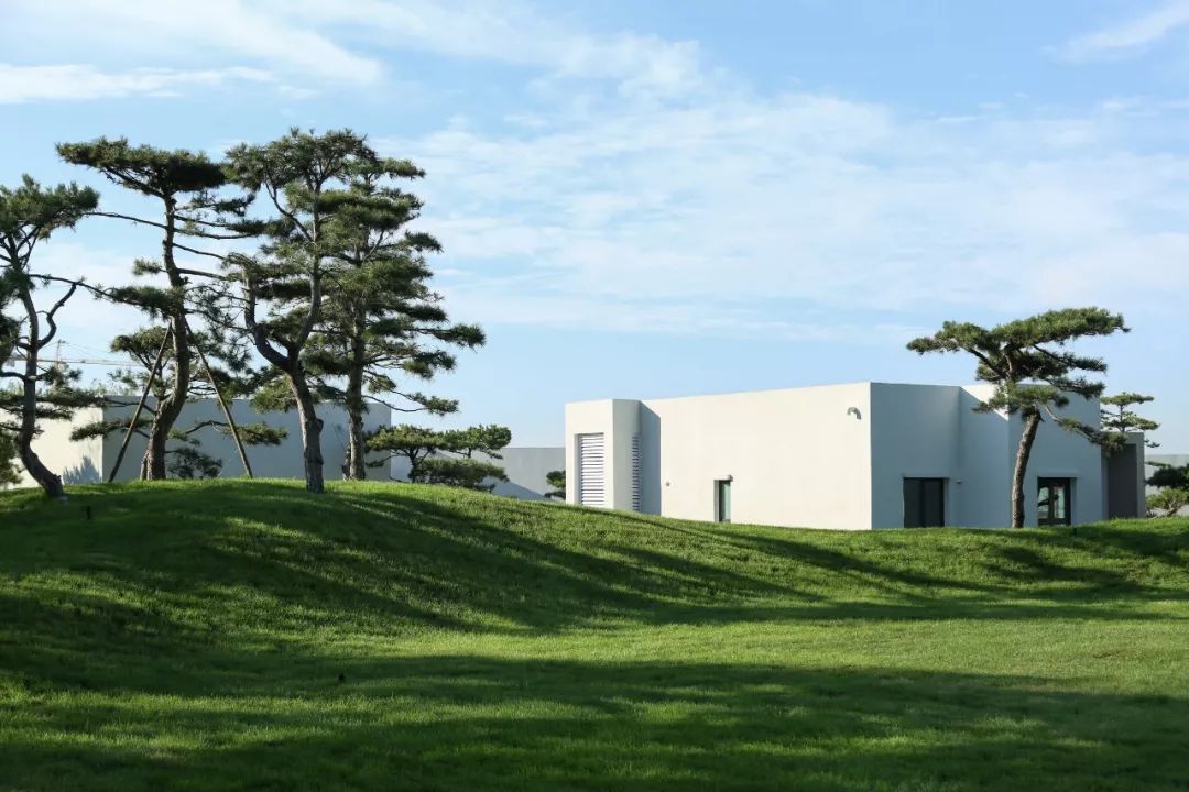 山海关金禧展示区 | 古松奇石，绘就历史画卷-49