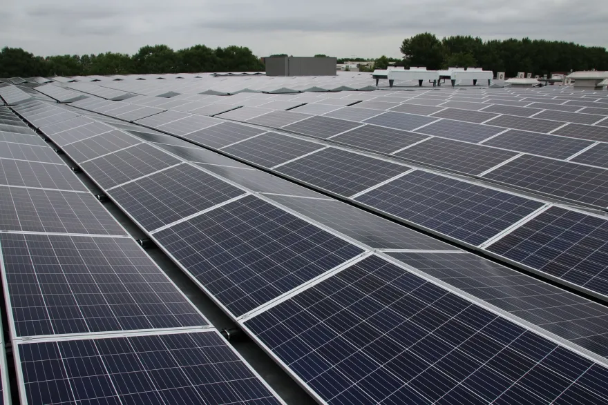 Royal De Ree Holland-15