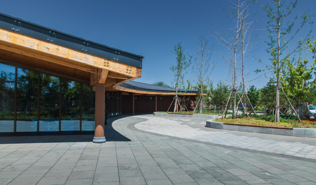 沧州园博园公共楔景观设计丨中国沧州-32