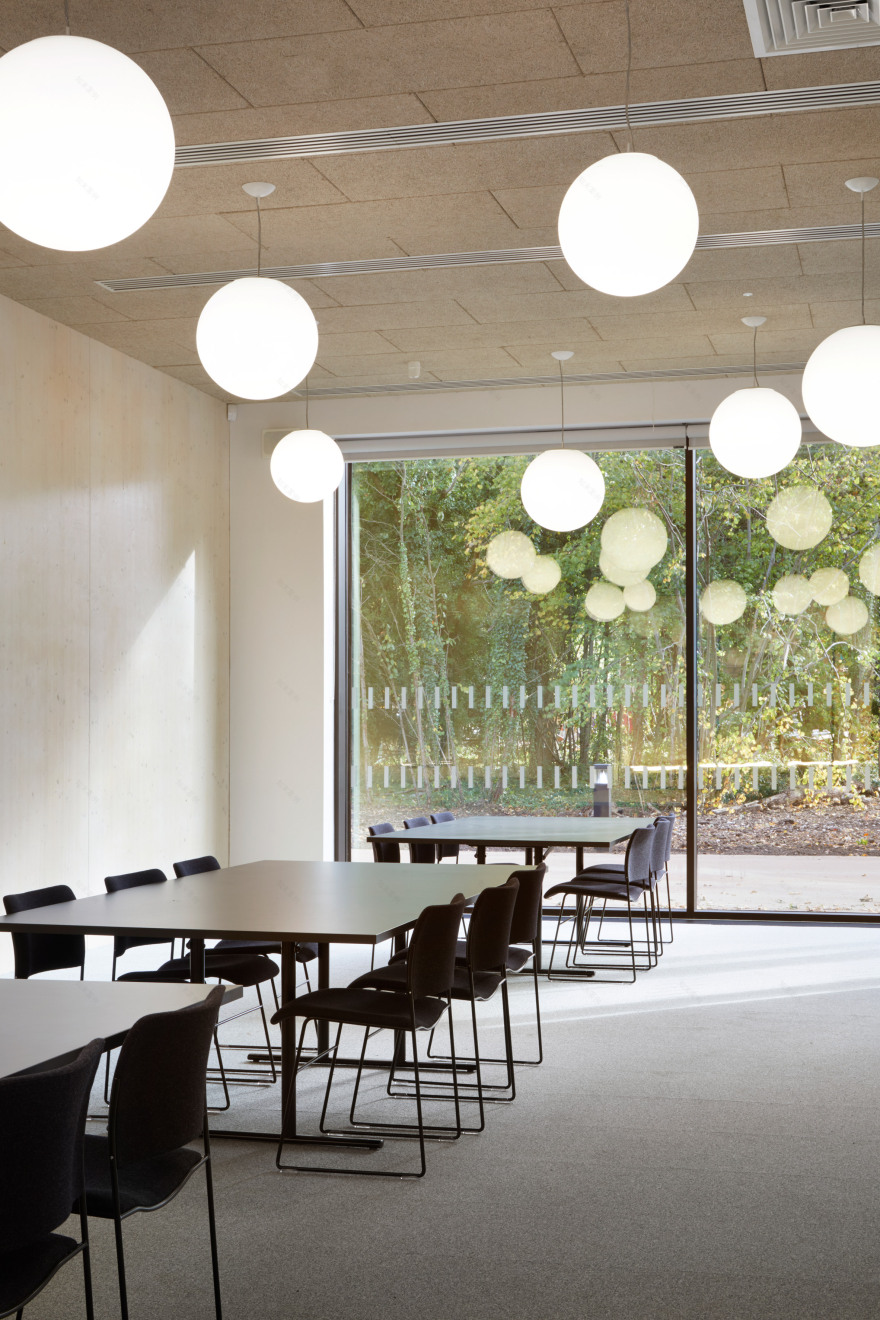 HawkinsBrown uses engineered wood to build school swimming pool-20