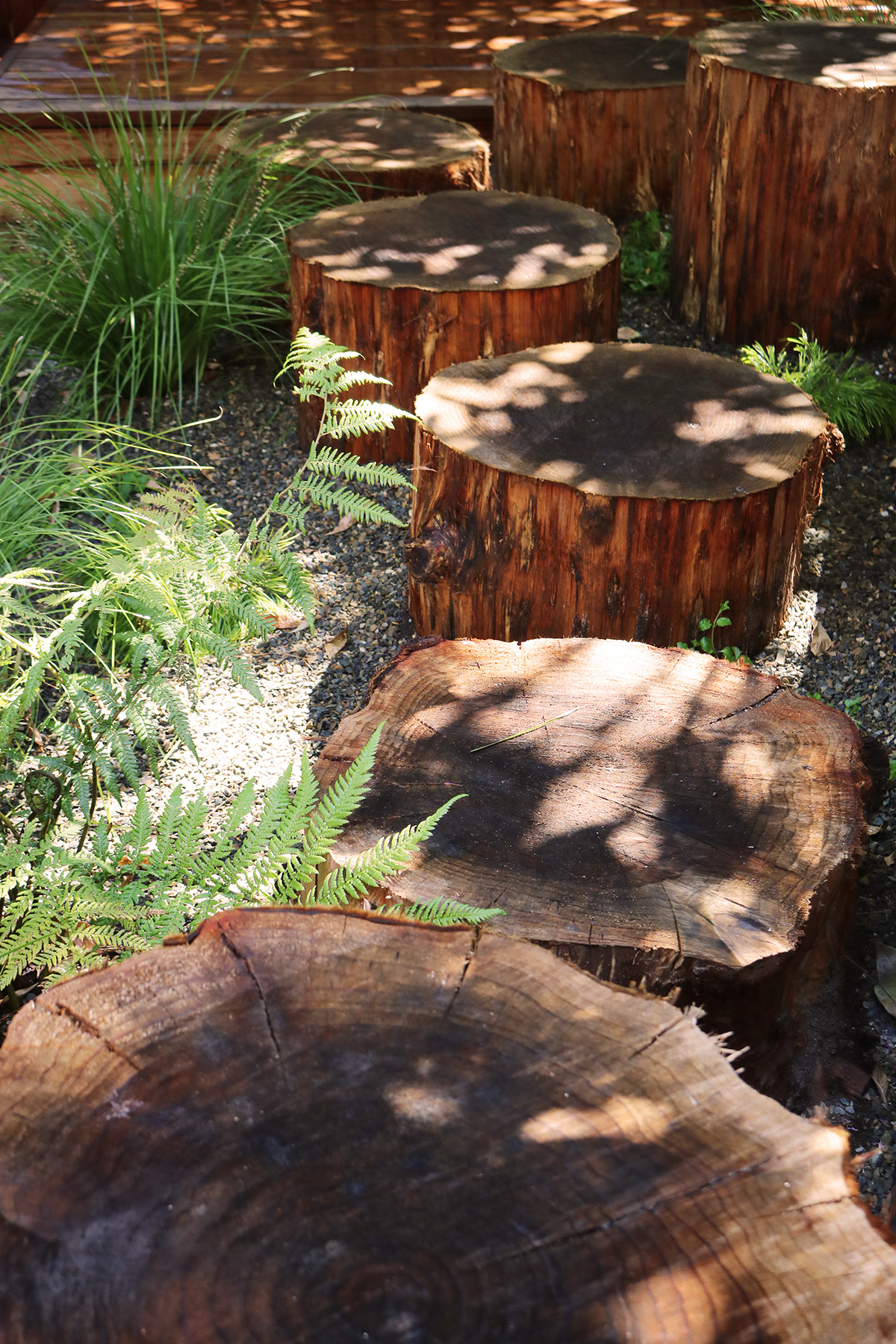 身边风景 | Soft Studio-71