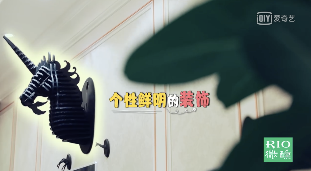 周笔畅的独居生活 | 仪式感与自由并存的家-26