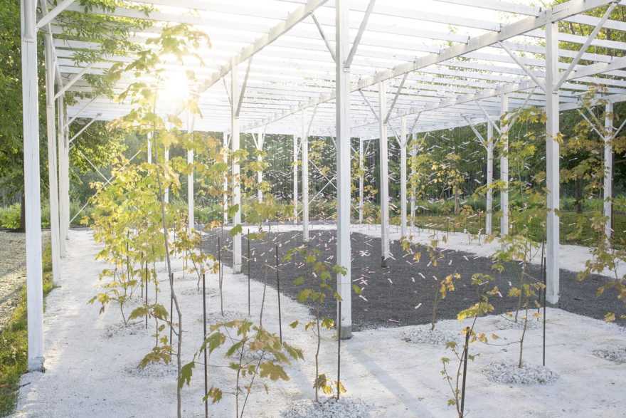 2019 加拿大国际花园节 | 彩色“岩石”结构装置引人入胜-30