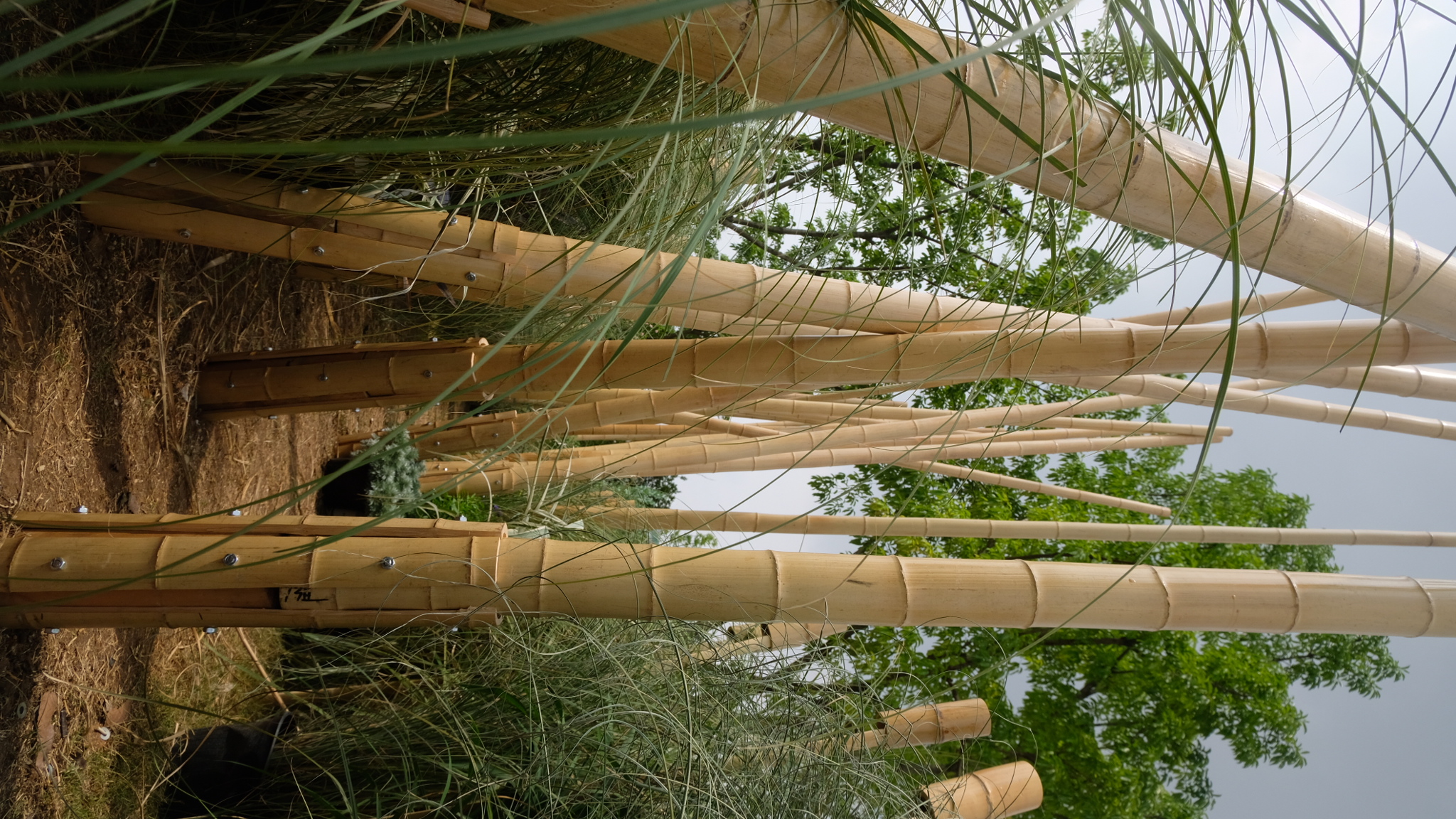 竹林丨中国成都丨Atelier Folie（北林风景建筑研究中心）-15