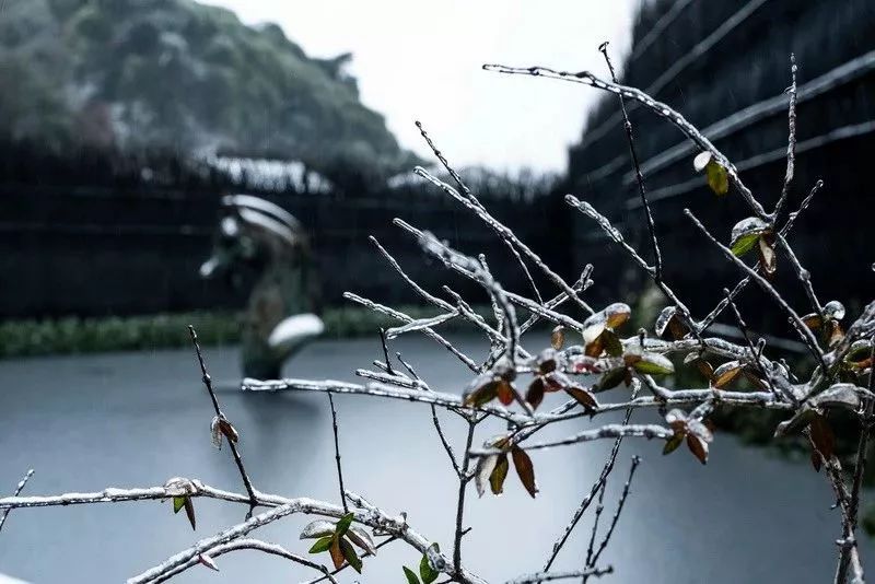 曼图设计 | 2018 年的成长与收获-276