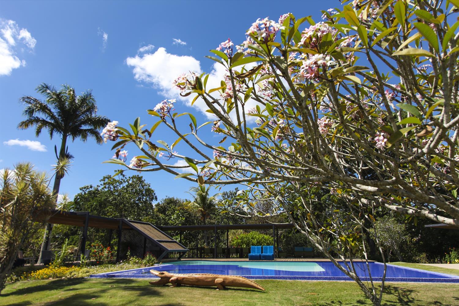 巴西森林度假屋-10