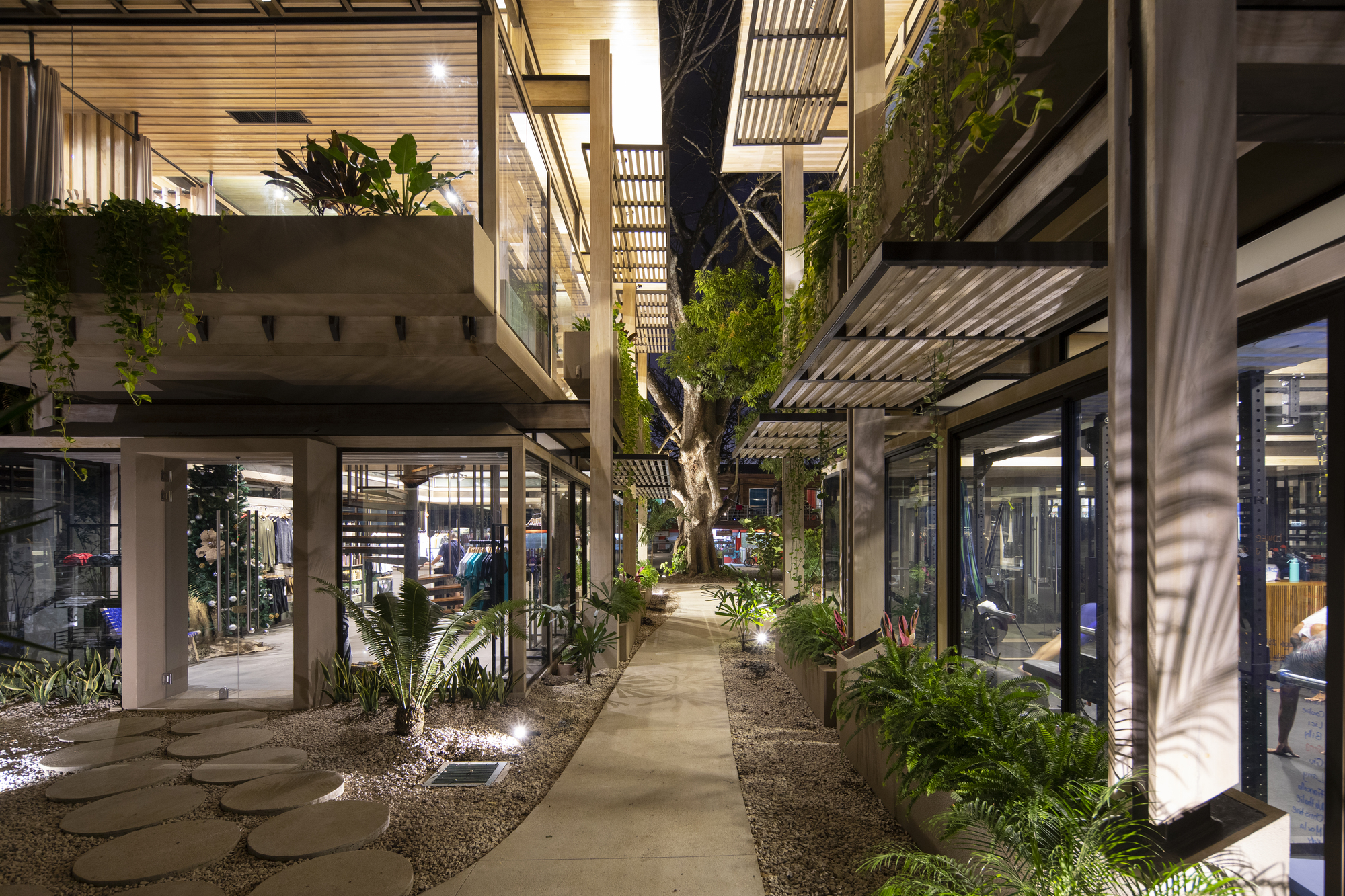 Costa Rica Athletic Center / Studio Saxe-33
