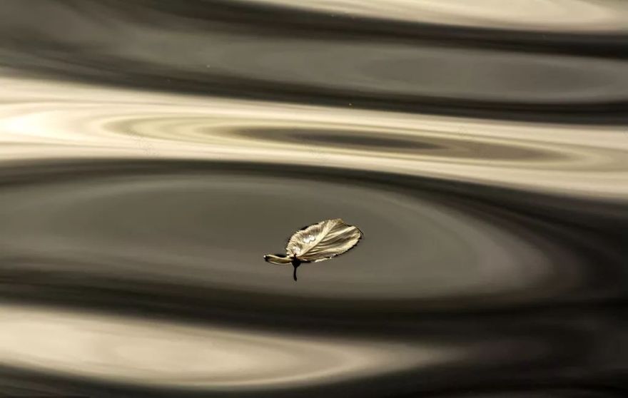 融和主义,和而不同-0