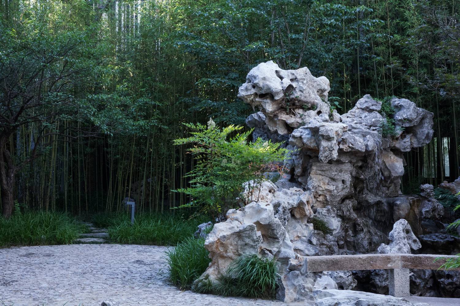 上海八分园景观-17