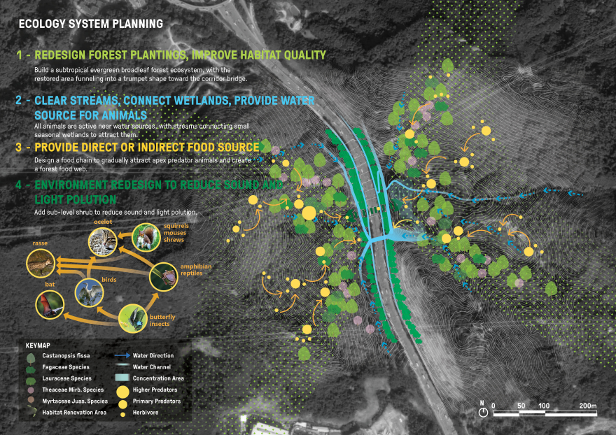 Meilin Mountain – Yinhu Mountain Corridor Bridge | SWA Group-12