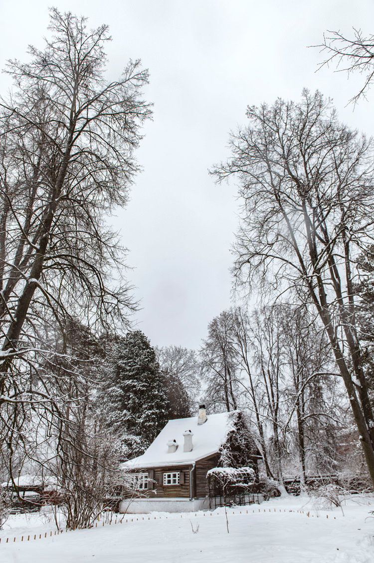 “Доме Ракицкого”（拉基茨基之家）项目丨俄罗斯丨Женя Жданова（珍娅·日丹诺娃）,景观工作室МОХ-19