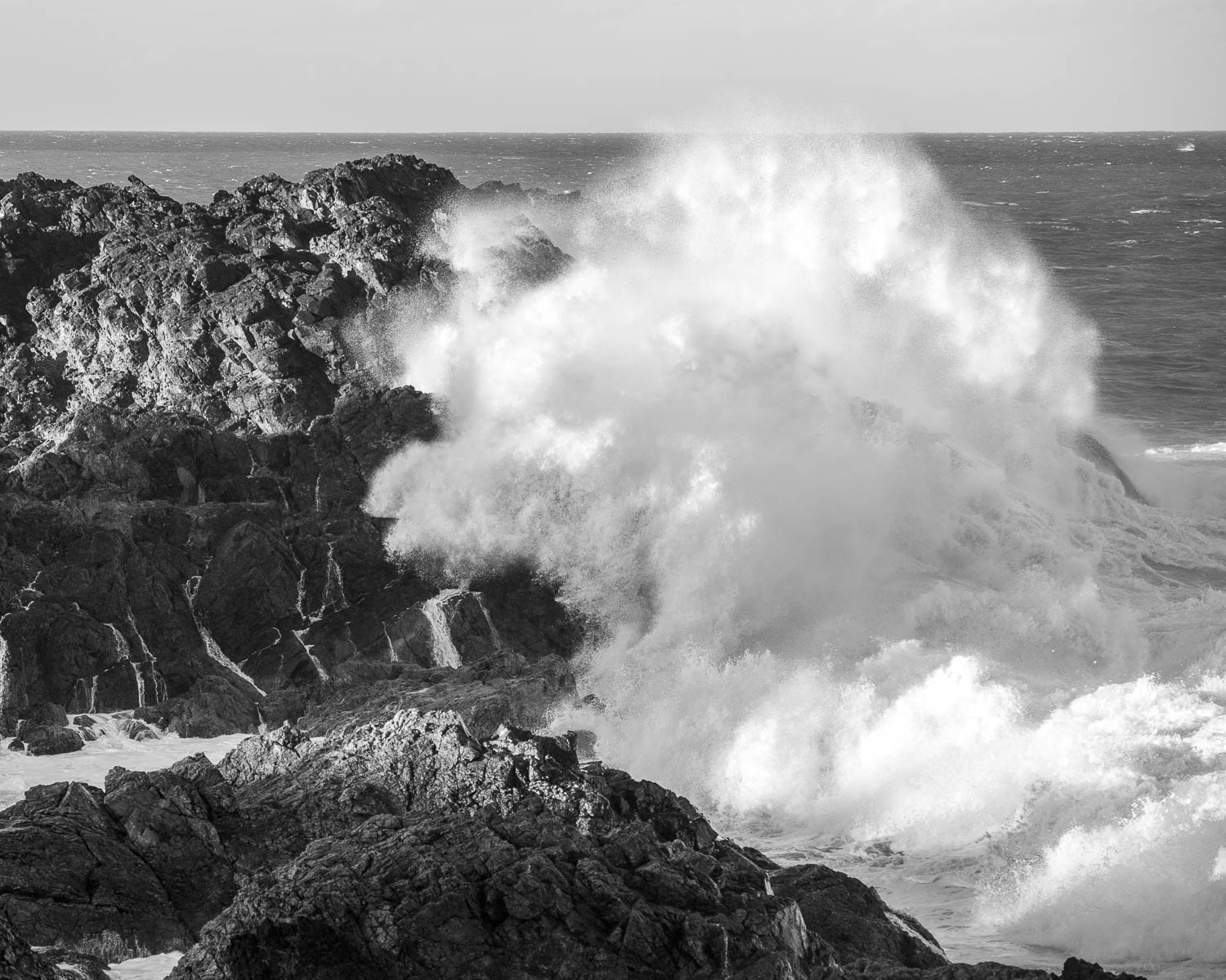 Sea Swell - Biripi Country-3