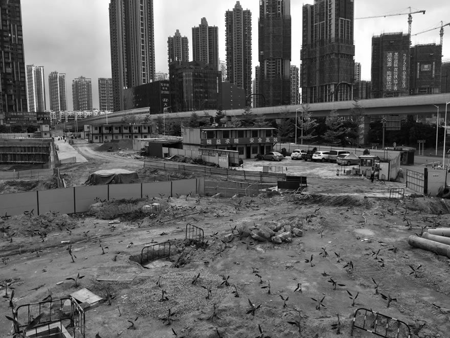 深圳龙华绿廊公园三期丨中国深圳-140