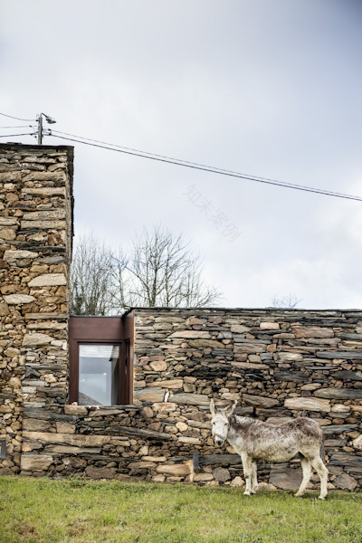 卢戈 A’Bodega 住宅设计-46