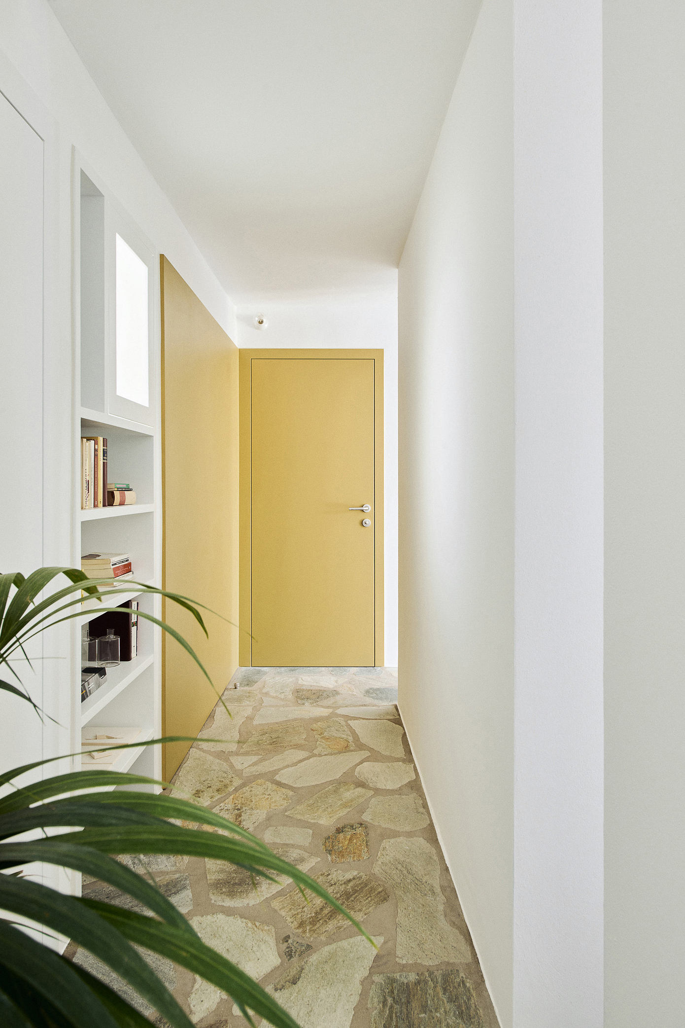 Patrico 丨 DA·CH·丨希腊丨DA.CH.-5