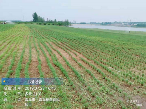 青岛桃李春风小镇 | 田园牧歌与尧王山水的空间叙事-73