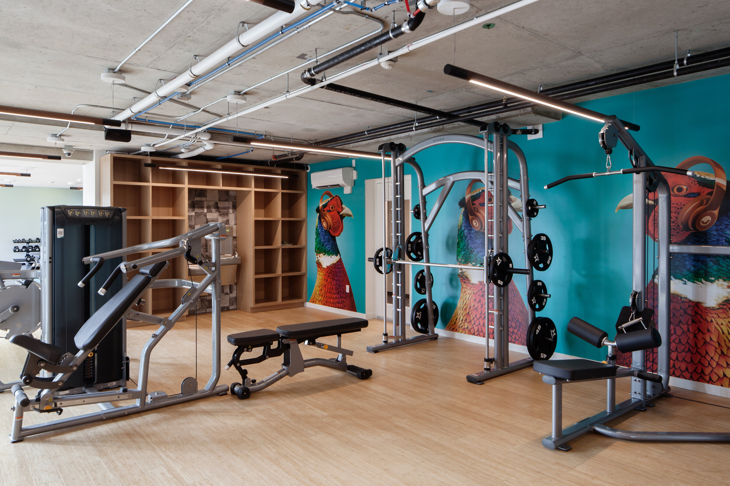 丨美国西雅图-105