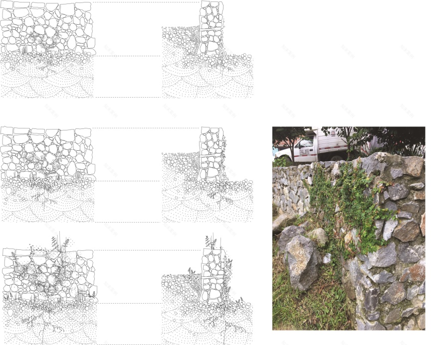 自然的生长花园PRADO PARK / Edgar Mazo-72