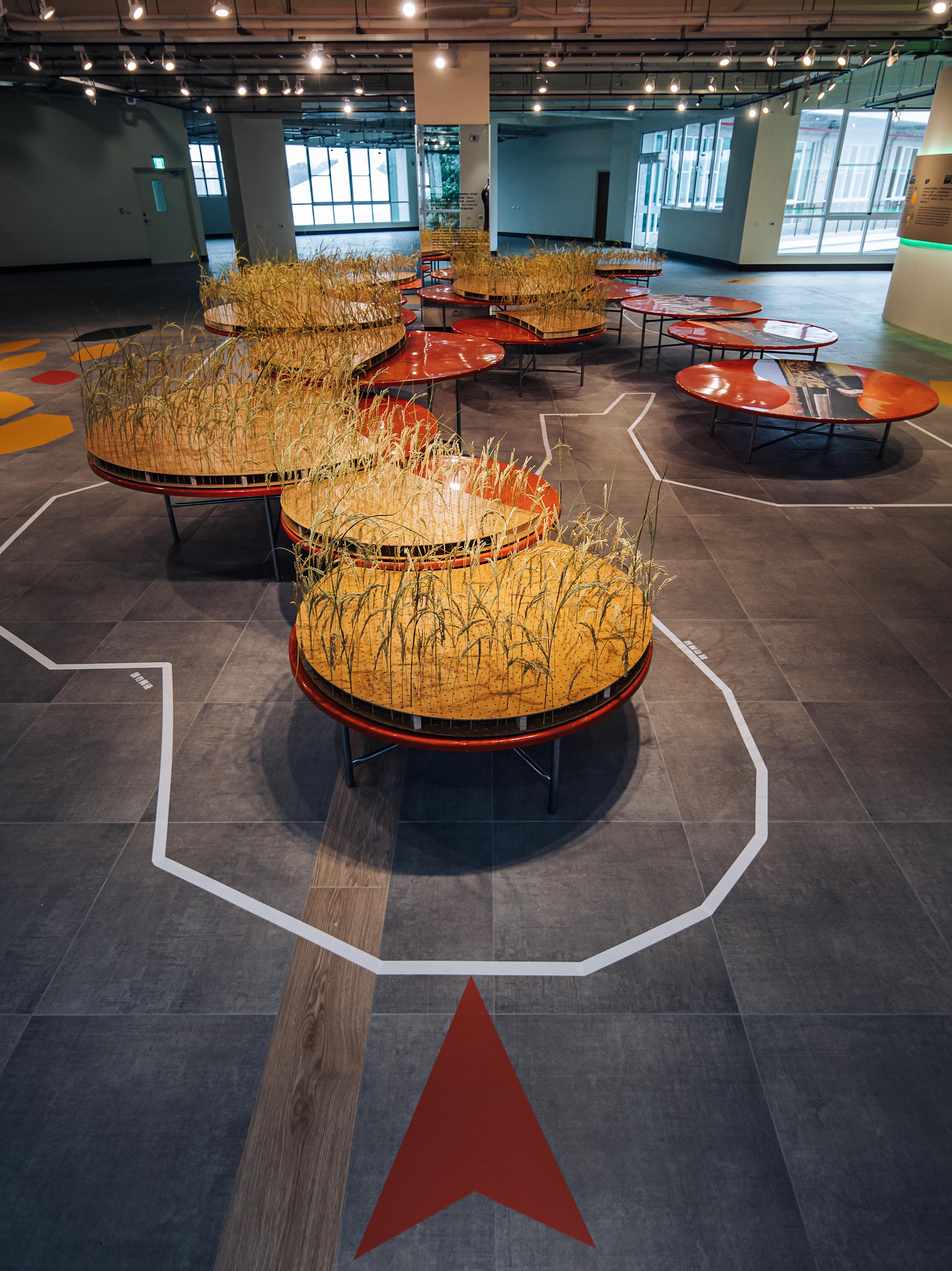 2022 屏东热带农业回顾展丨Atelier Boter-33