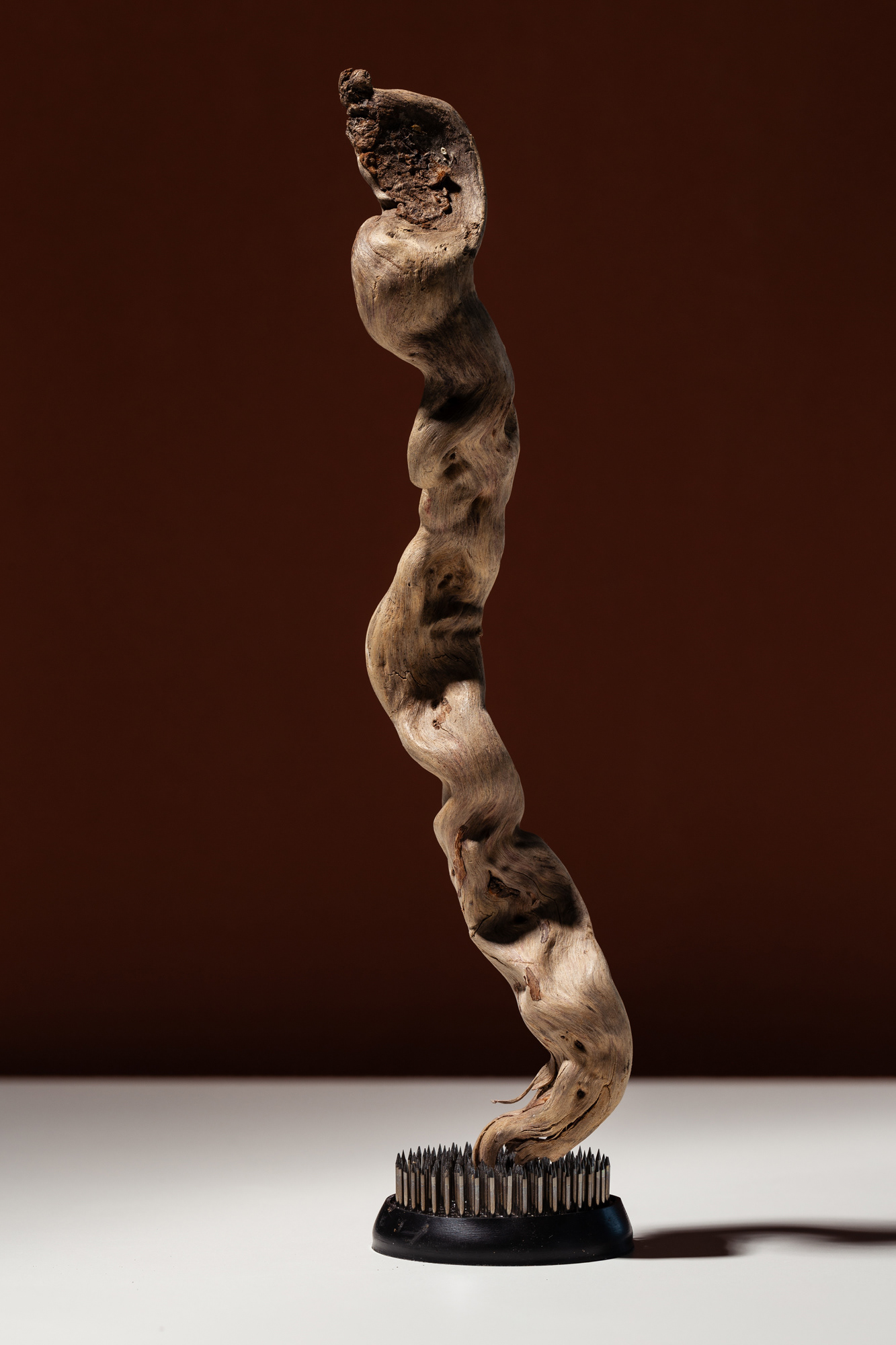 TorriPhoto摄影创作项目-72