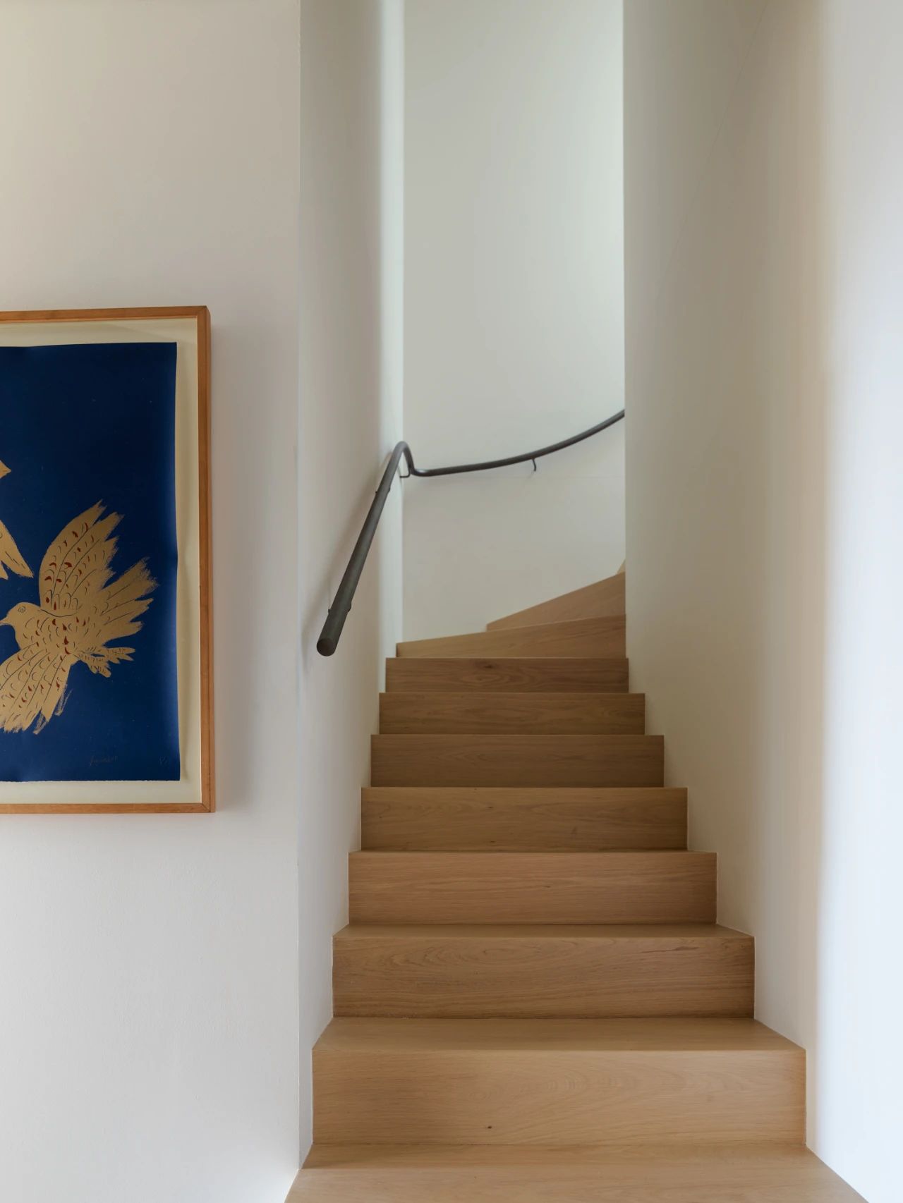 自然诗意之旅 · Woollahra House丨澳大利亚悉尼丨Freya Salter-46