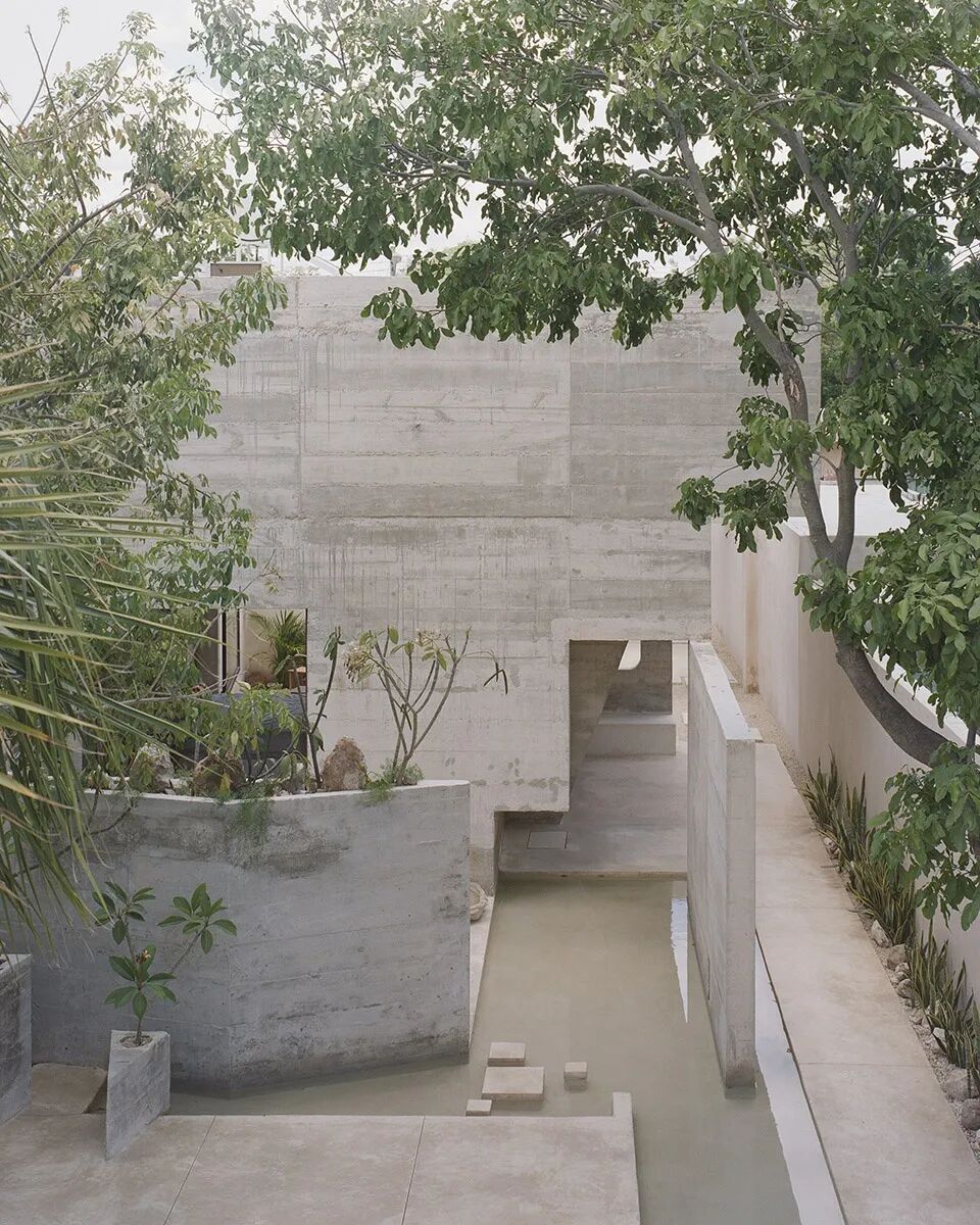 墨西哥椰林之家丨Ludwig Godefroy Office-29