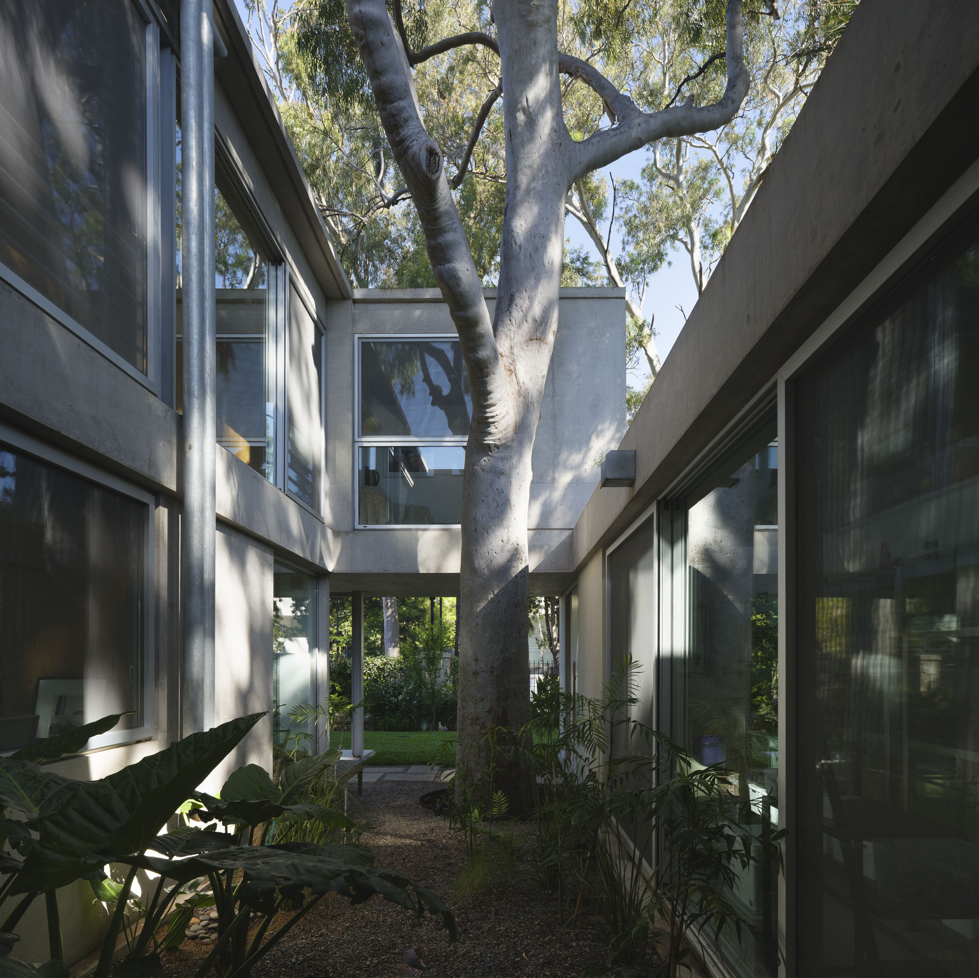 尤加利树屋；桉树屋 （备注：Eucalyptus常见释义为尤加利树、桉树，这里根据House推测可能是与树相关的屋子，若有具体语境，可更精准翻译 ） 丨阿根廷布宜诺斯艾利斯丨Julia Yako,Laura Marino-28