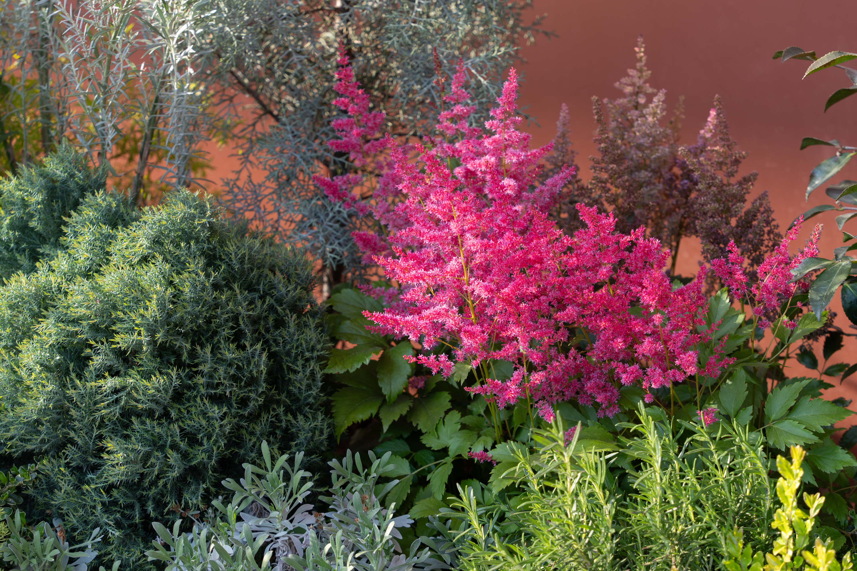 上海青浦西岑水上餐厅花园景观设计丨中国上海丨上海魏玛设计公司,华阳上海建筑公司-30
