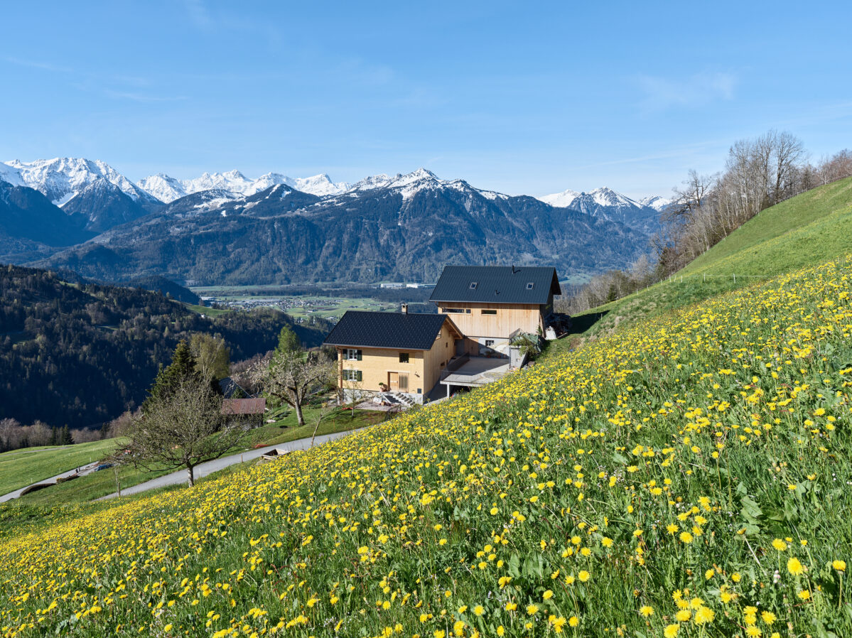 
                            Rechtsanwaltskanzlei-13