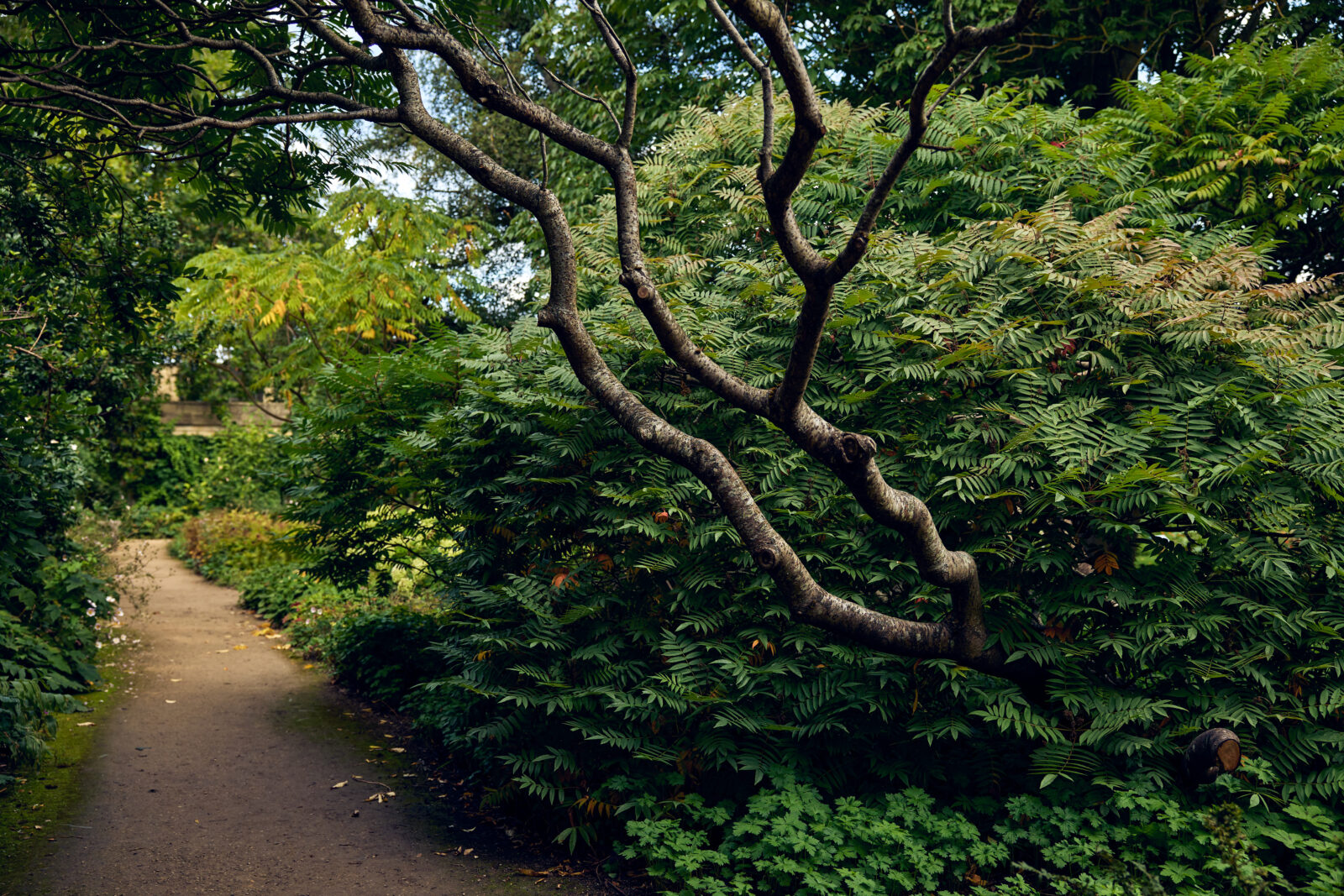 Our Guide to Oxford: cinnamon buns and baroque landmarks in the 'city of dreaming spires'-7