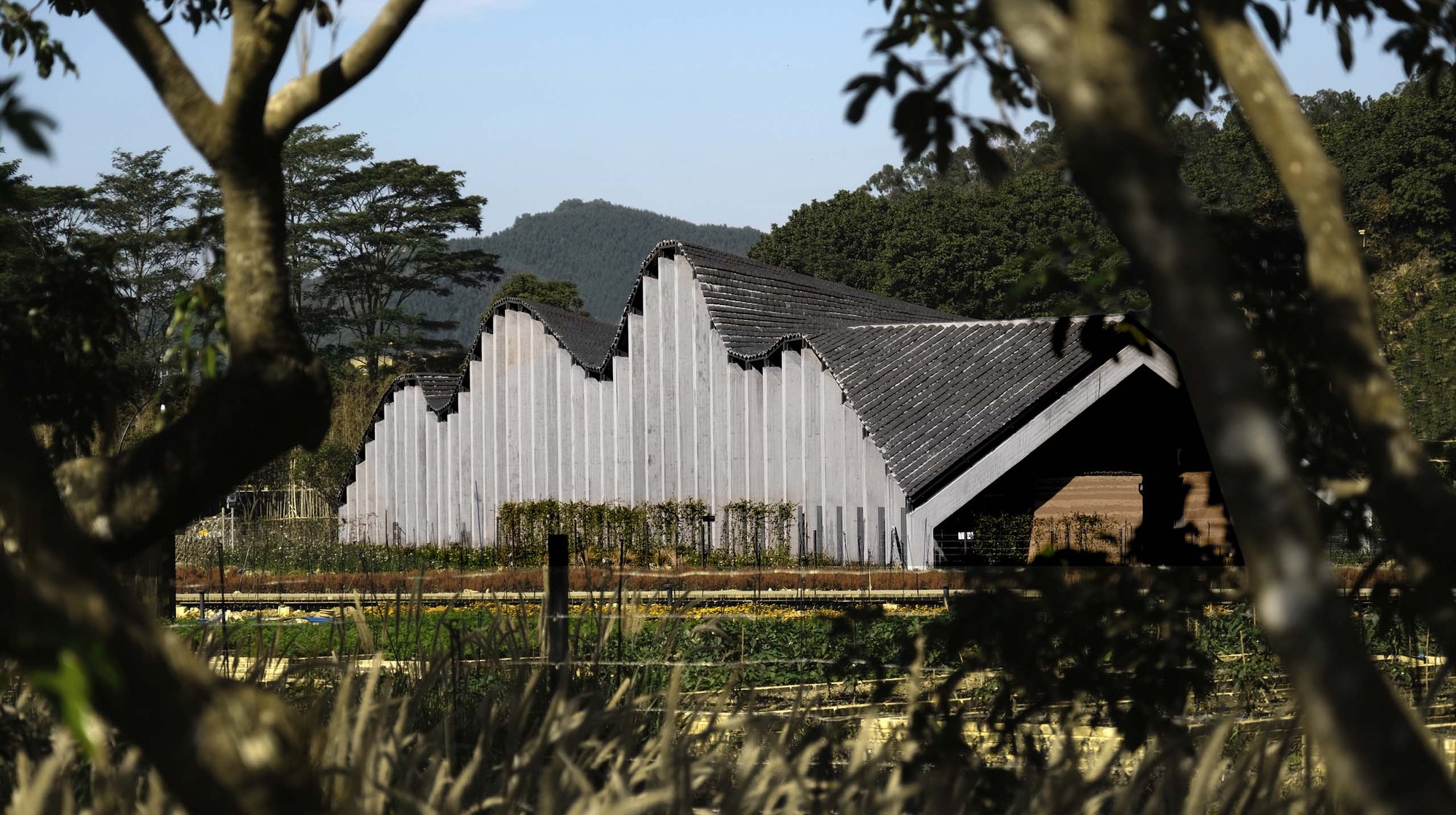 广州陶然墟乡村集市丨中国广州丨昊源集团设计中心-24