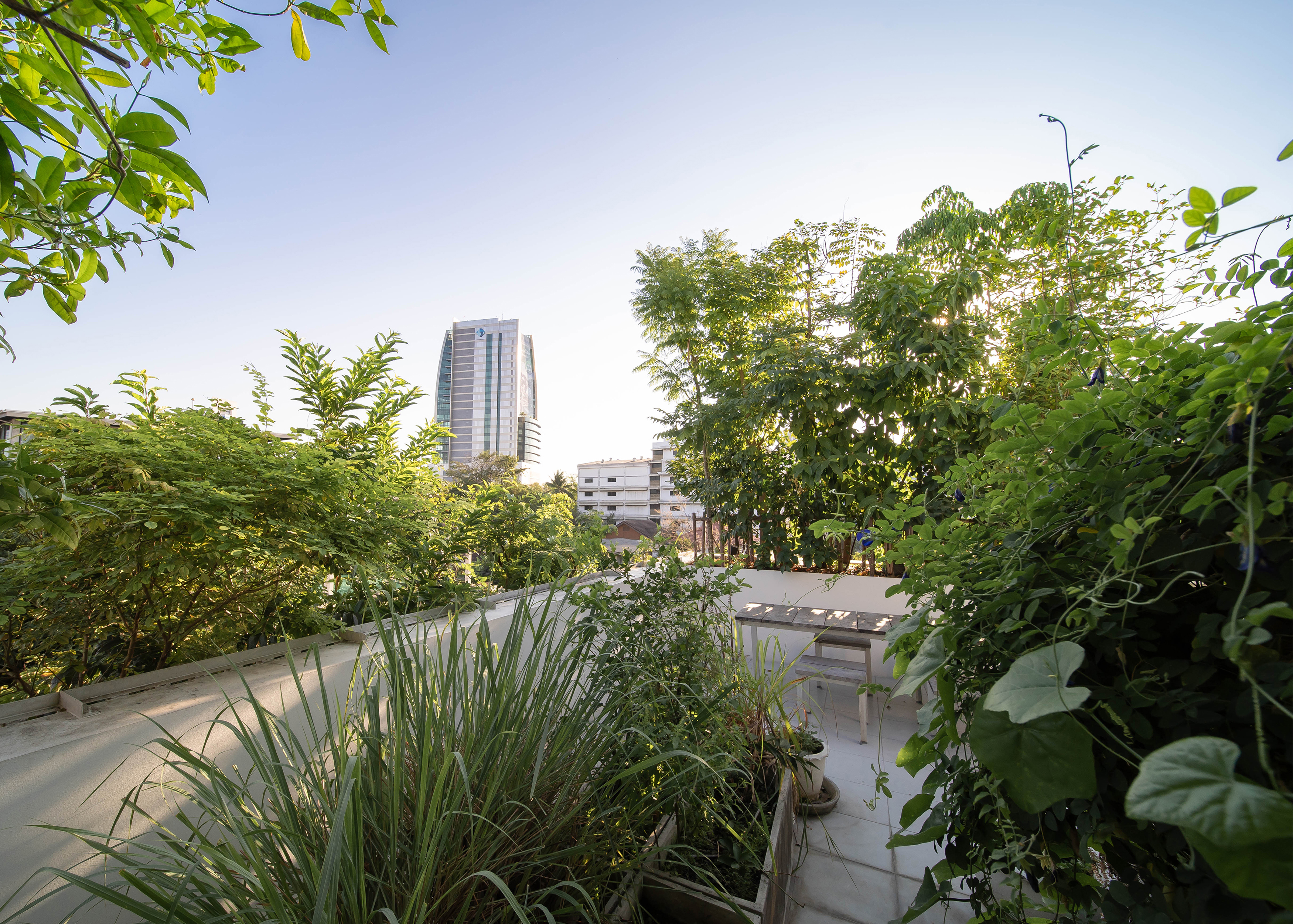 Forested House | Shma Company Limited-33