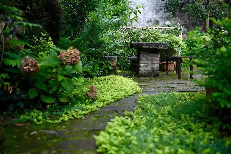 辞去工作，历时7个月，他们过上了有院子，有诗和远方的生活-60