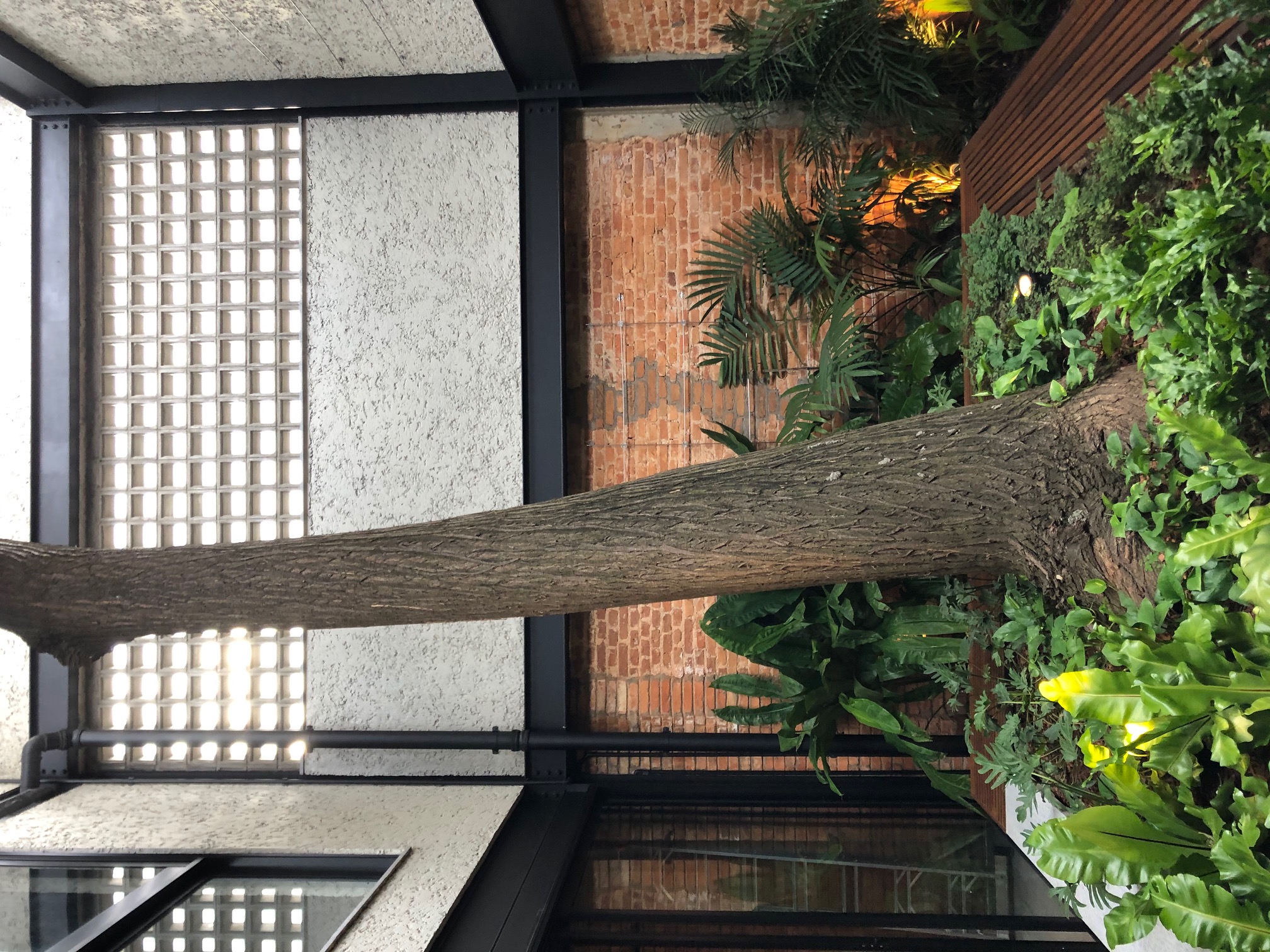 巴西圣保罗市波希米亚风格商业建筑设计丨vasco lopes arquitetura-41