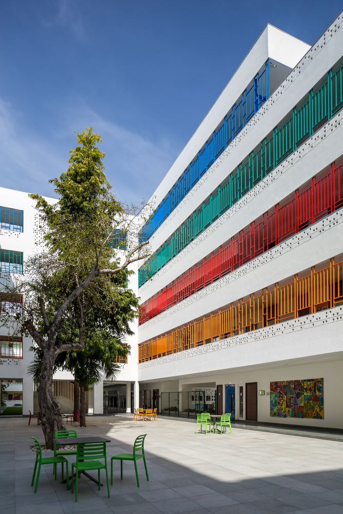 The British School  Morphogenesis-47