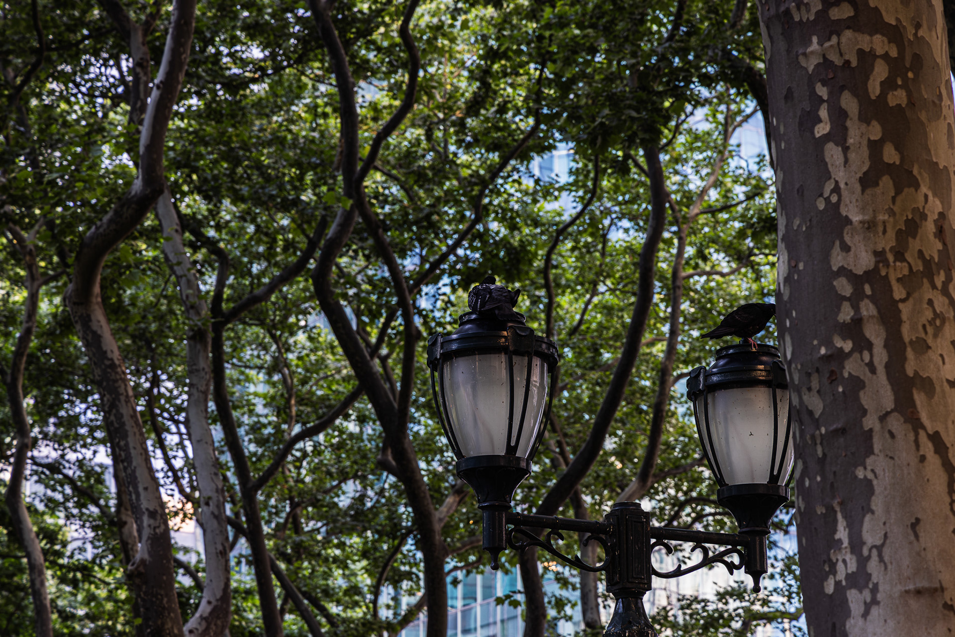 CityScapes Pt. 4 (NYC)-13