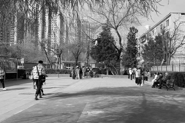 从课堂到街区更新实践！园林学院师生携手居民共建街巷“博物馆”-109