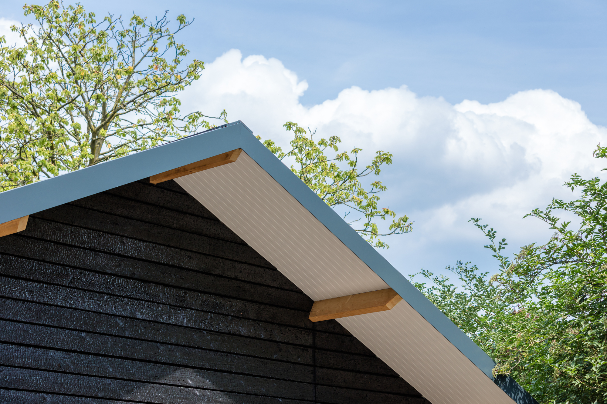 果园屋丨荷兰丨XVW architectuur-16