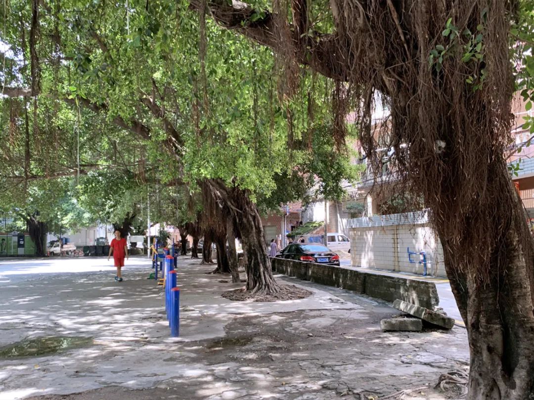 大朗党群文化广场及周边整治工程丨中国广州丨东大(深圳)设计有限公司-16