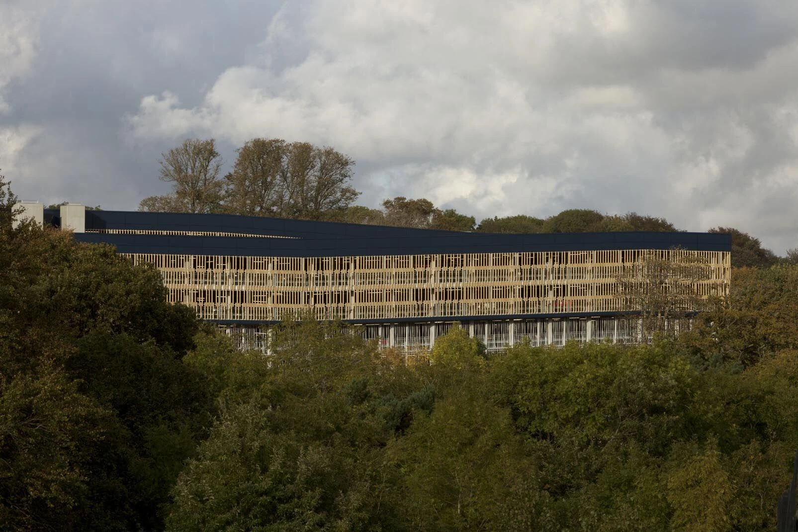 伯彻姆公园多用途服务中心-14