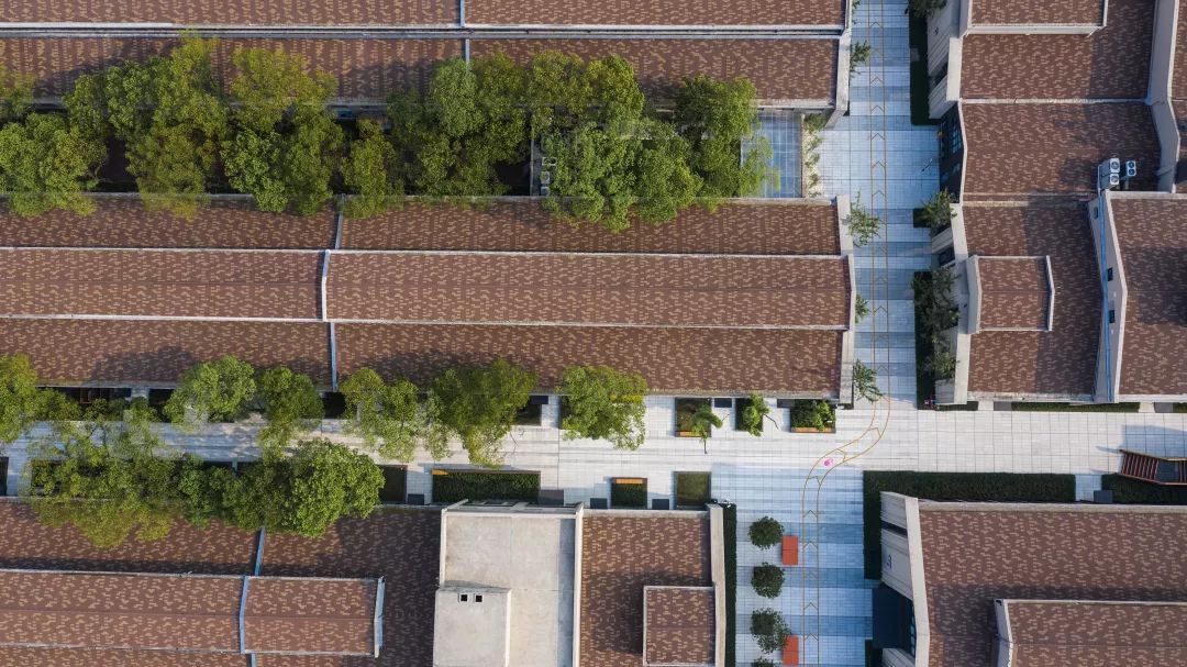 从暖瓶厂到社区公园 | 三邻桥景观改造-82